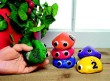 Edubug Bohne